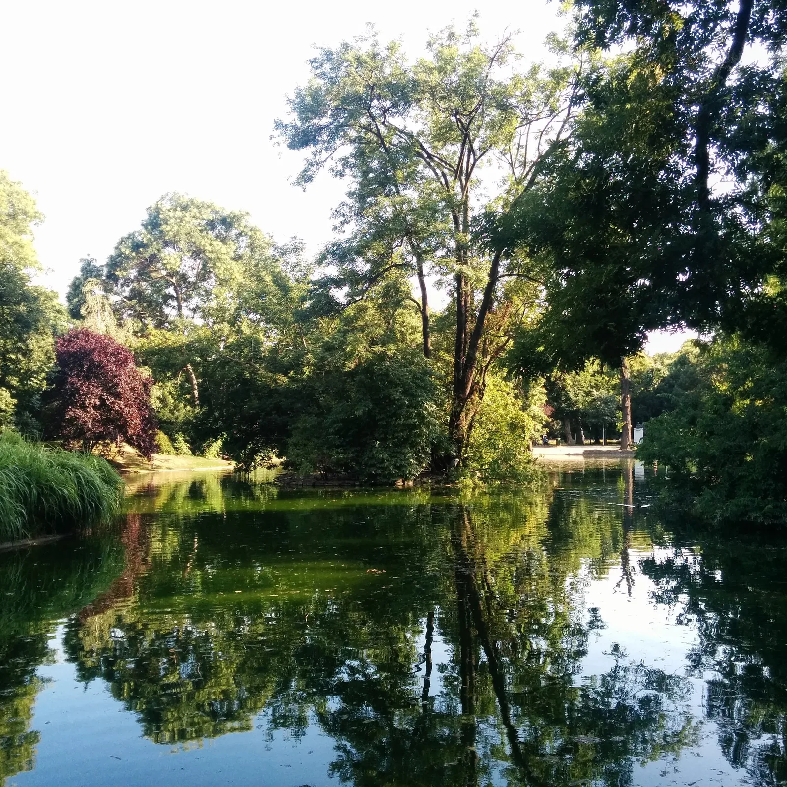Photo from 12 July 2015