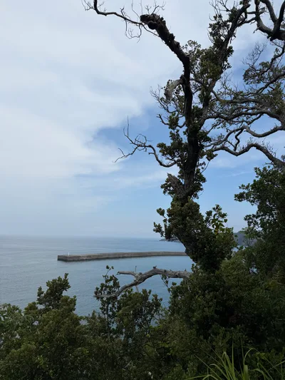 Matsuzaki, Japan — 19 June 2026