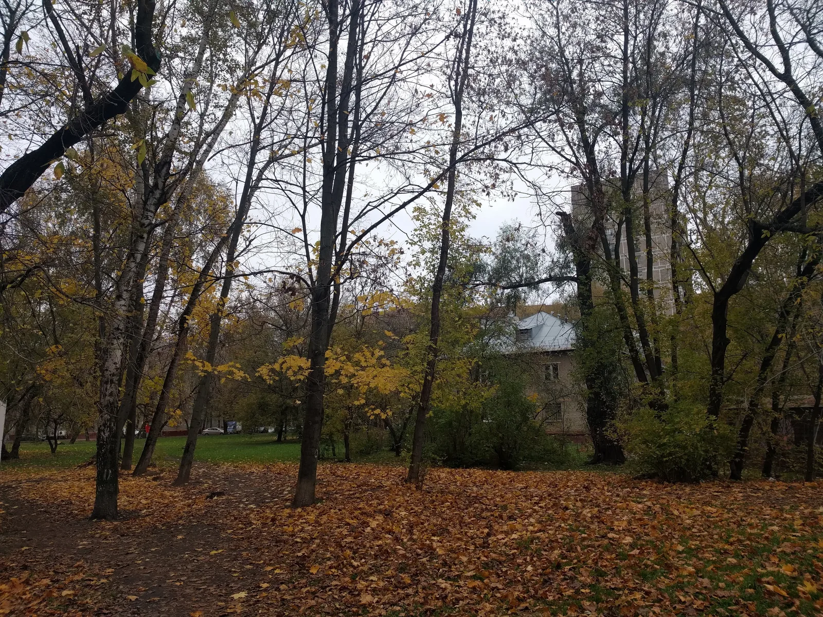 Photo from 12 October 2016