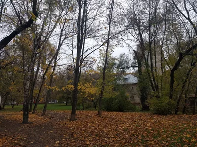 Photo from 12 October 2016