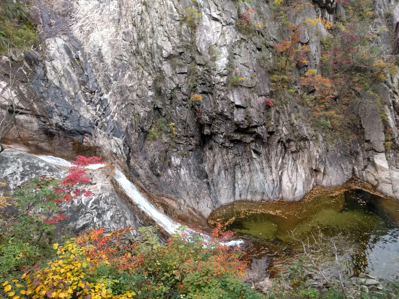 Sokcho, South Korea — 20 October 2016