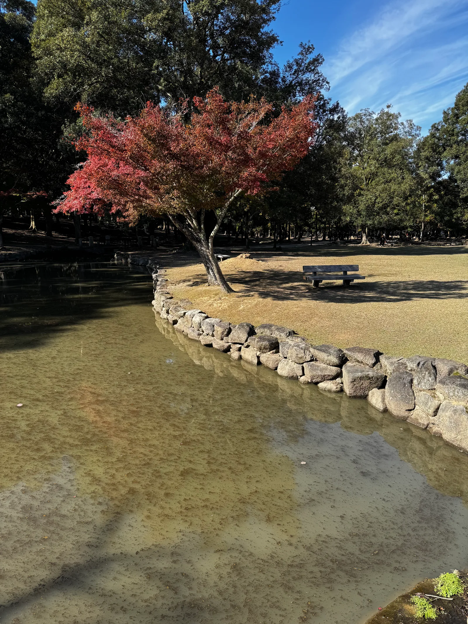 Nara-shi, Japan — 25 November 2024