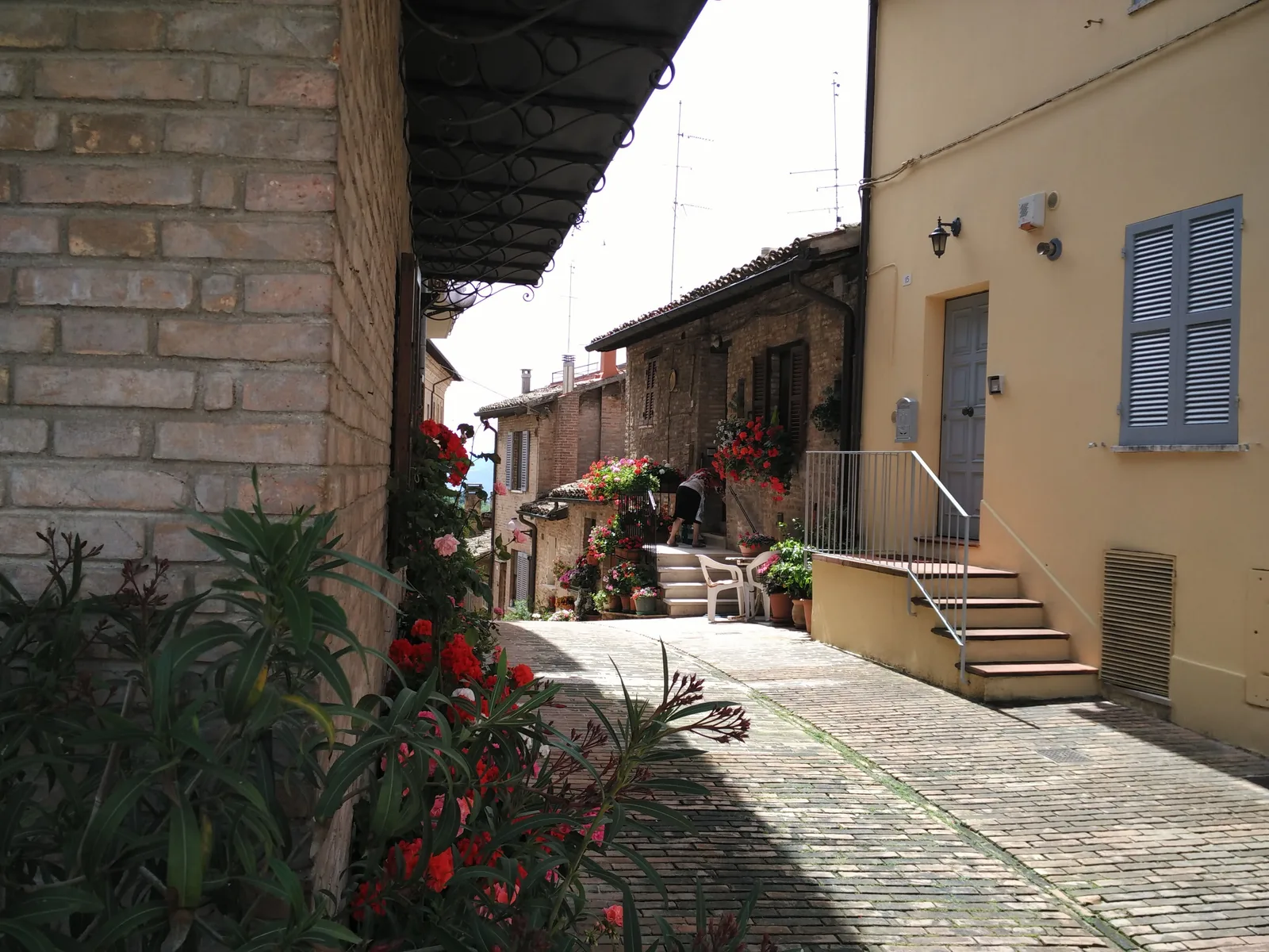 Urbino, Italy — 16 June 2016