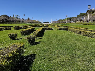 Photo from 20 March 2019