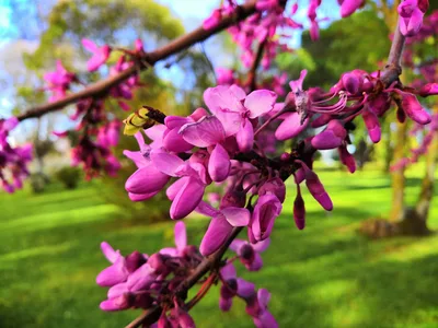 Photo from 20 March 2019