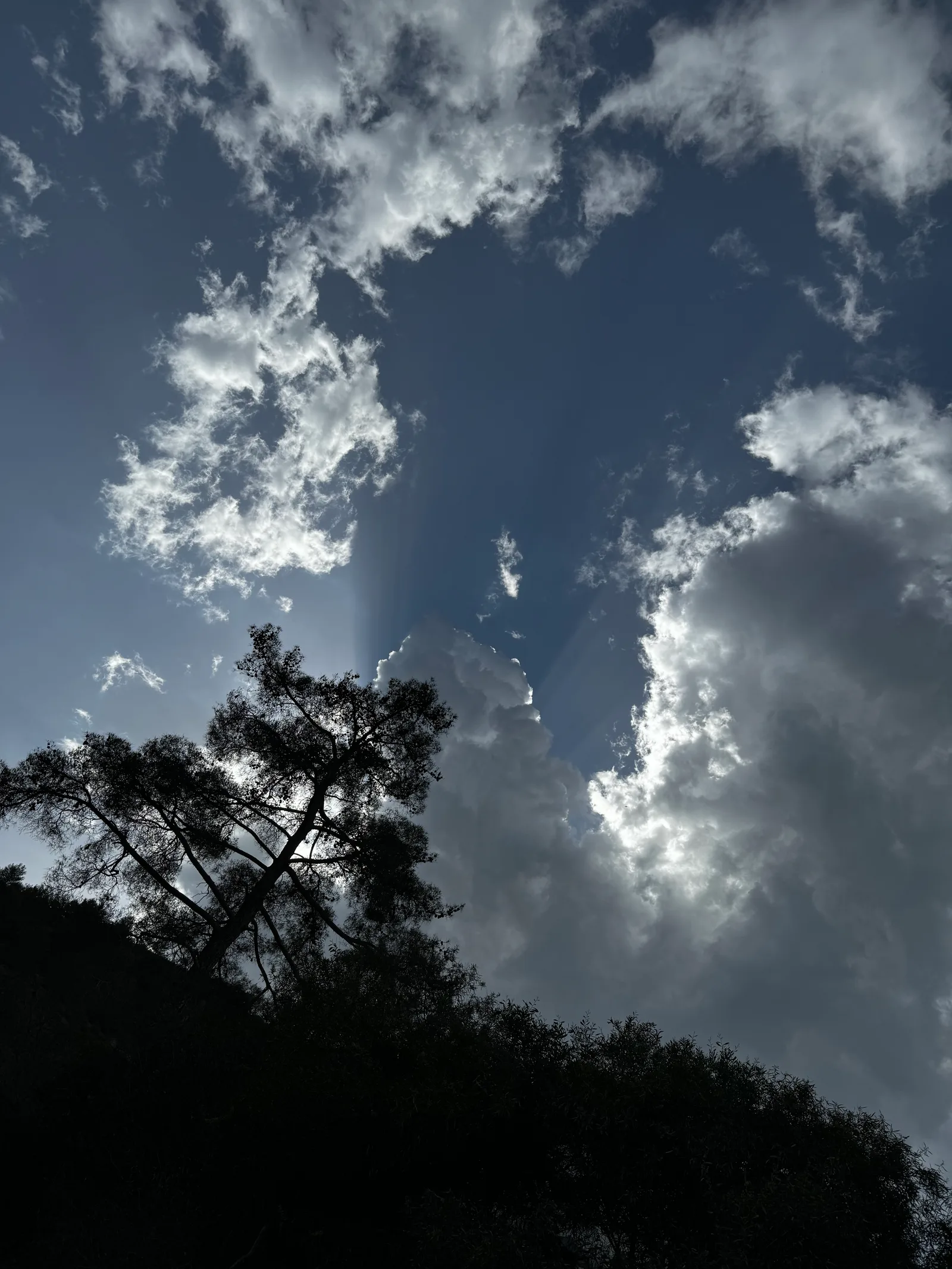 Peléndri, Cyprus — 28 April 2024