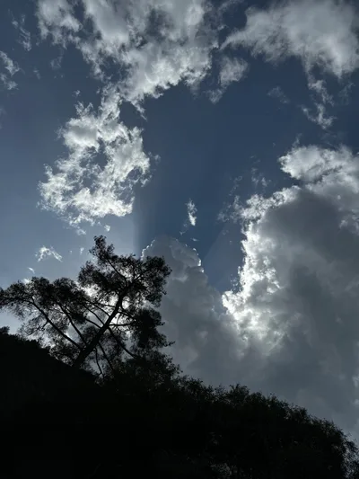 Peléndri, Cyprus — 28 April 2024