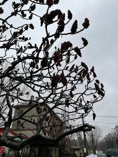 Cetinje, Montenegro — 5 January 2022