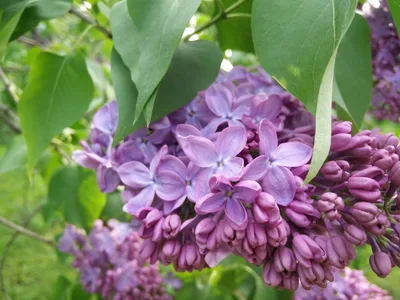 Photo from 23 May 2015