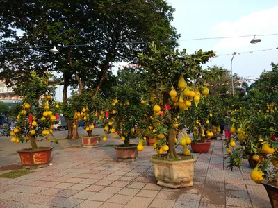Quận Phú Nhuận, Vietnam — 3 February 2018