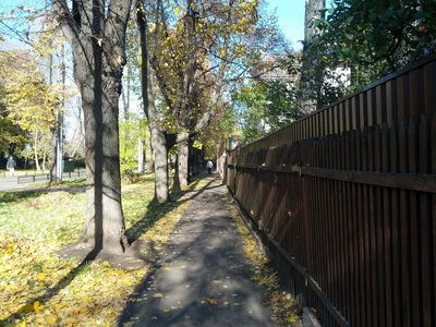 Photo from 13 October 2013