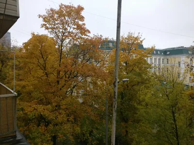 Sokol, Russia — 13 October 2017