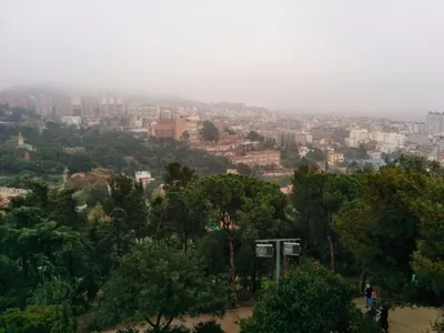Photo from 30 March 2014