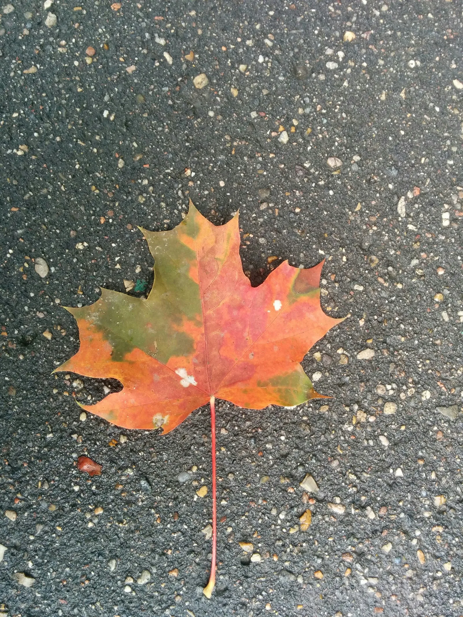 Photo from 7 September 2015