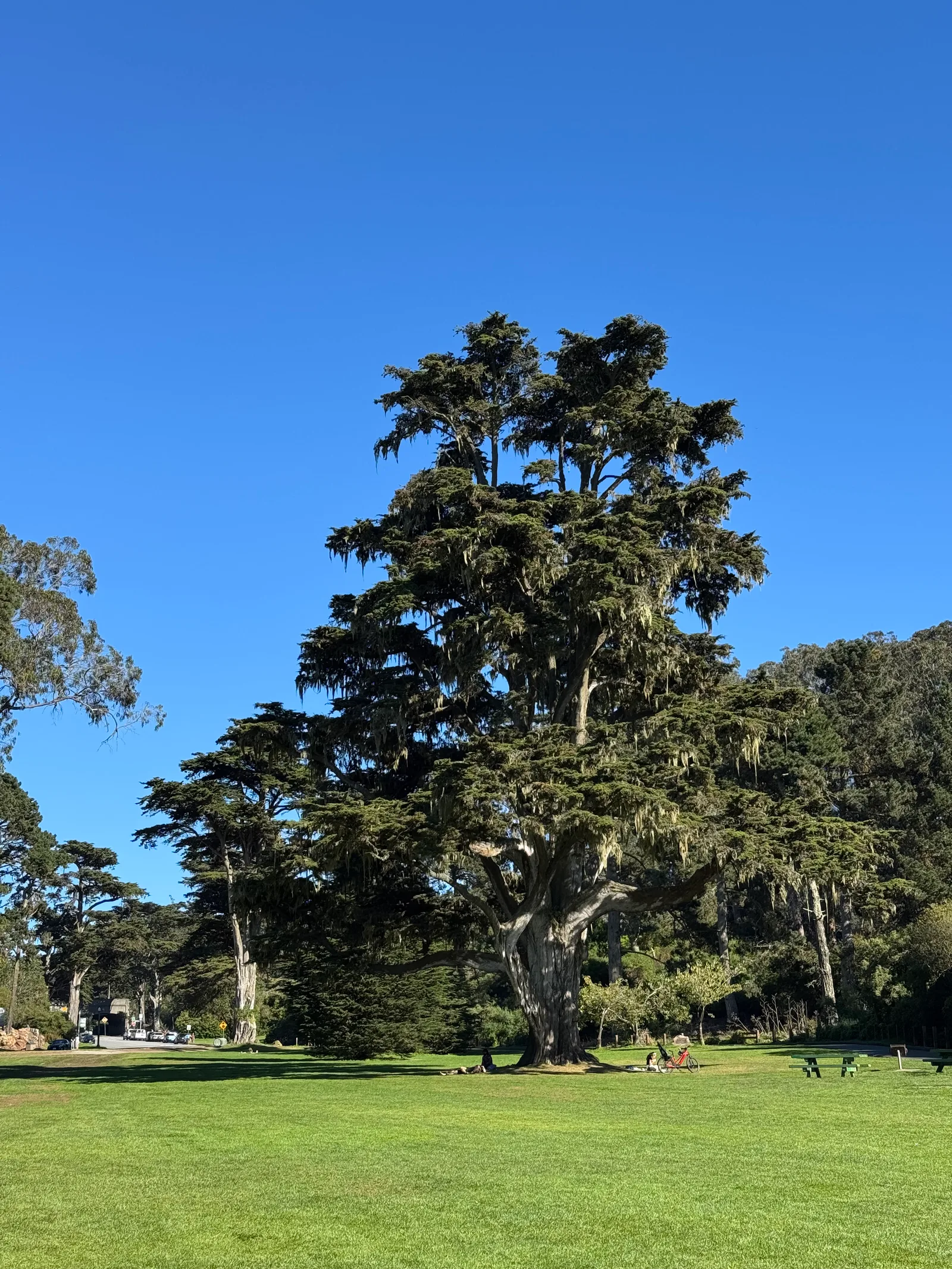 Parkside, United States — 20 October 2025