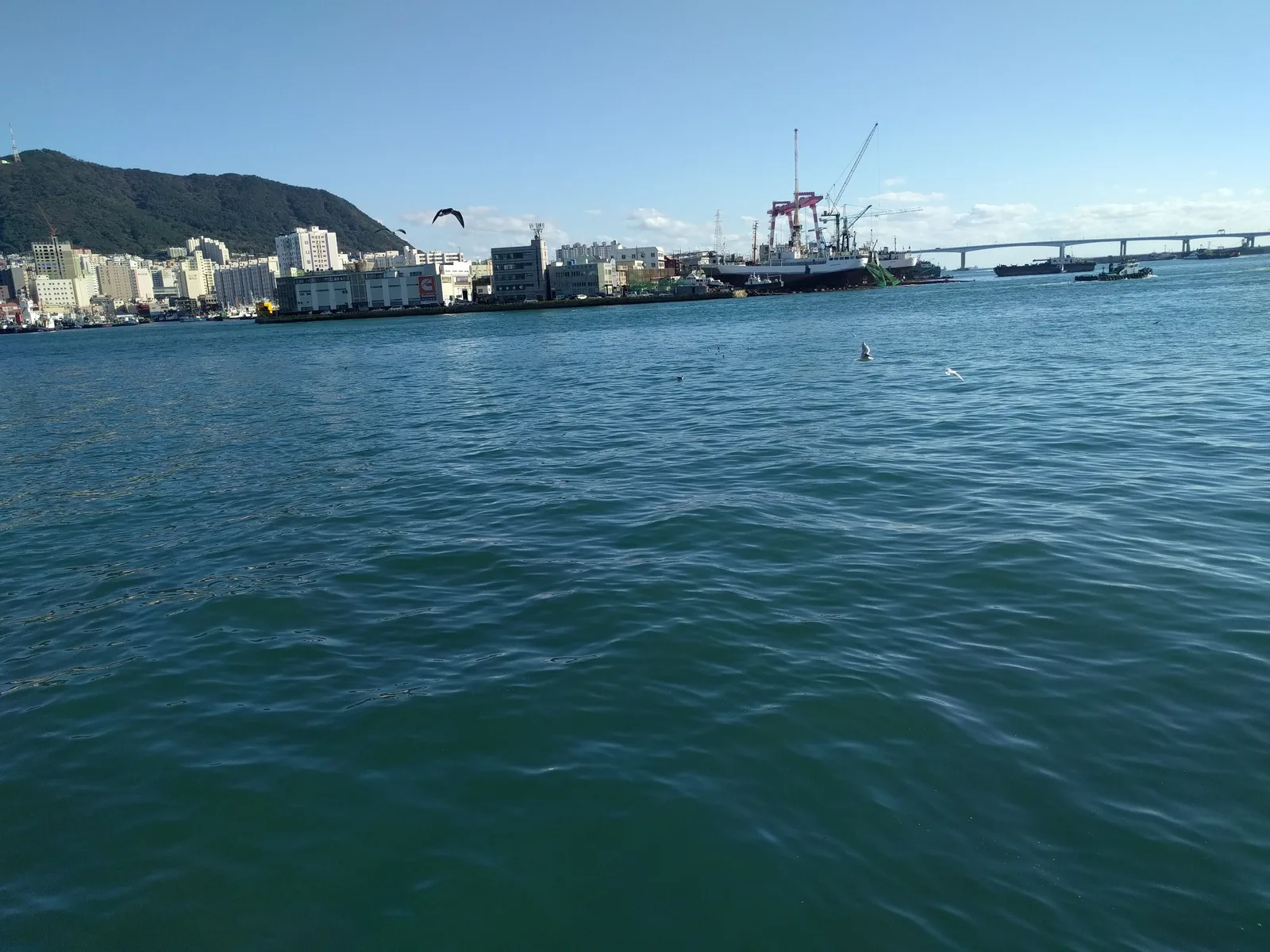 Busan, South Korea — 24 October 2016