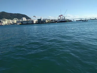 Busan, South Korea — 24 October 2016