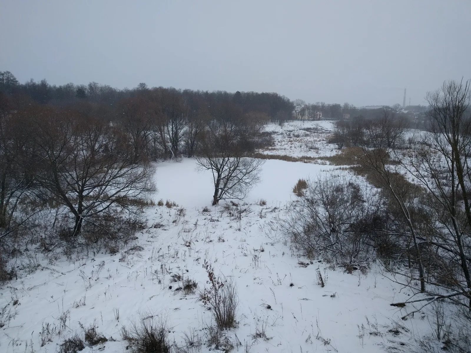 Photo from 8 December 2016