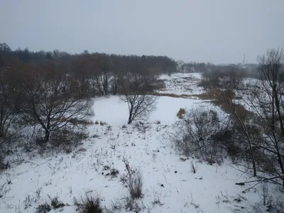 Photo from 8 December 2016