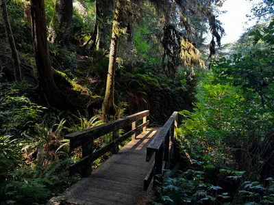 Waldport, United States — 26 August 2024