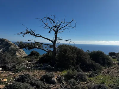 Pissoúri, Cyprus — 18 January 2025