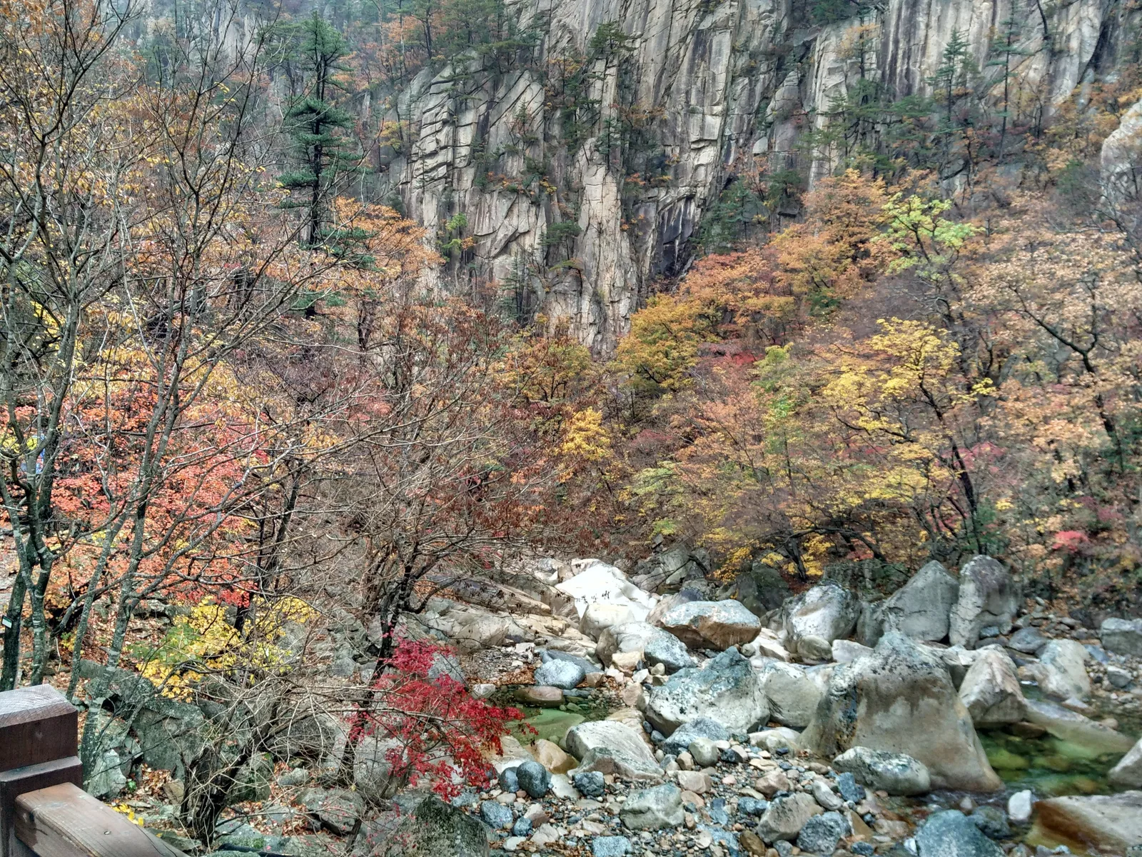Photo from 21 October 2016