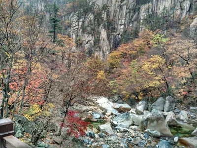 Photo from 21 October 2016