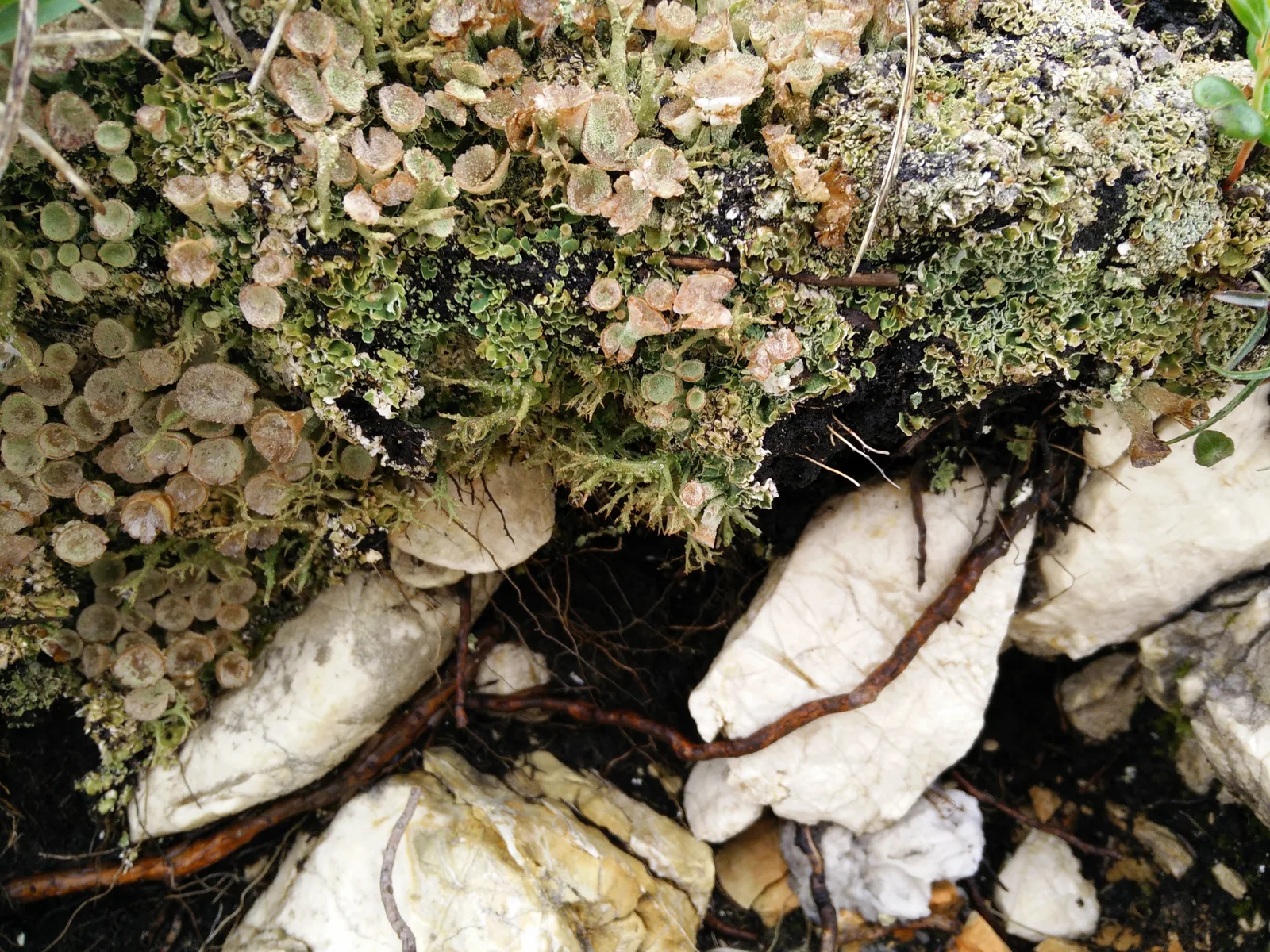 Sankt Leonhard, Austria — 14 July 2015