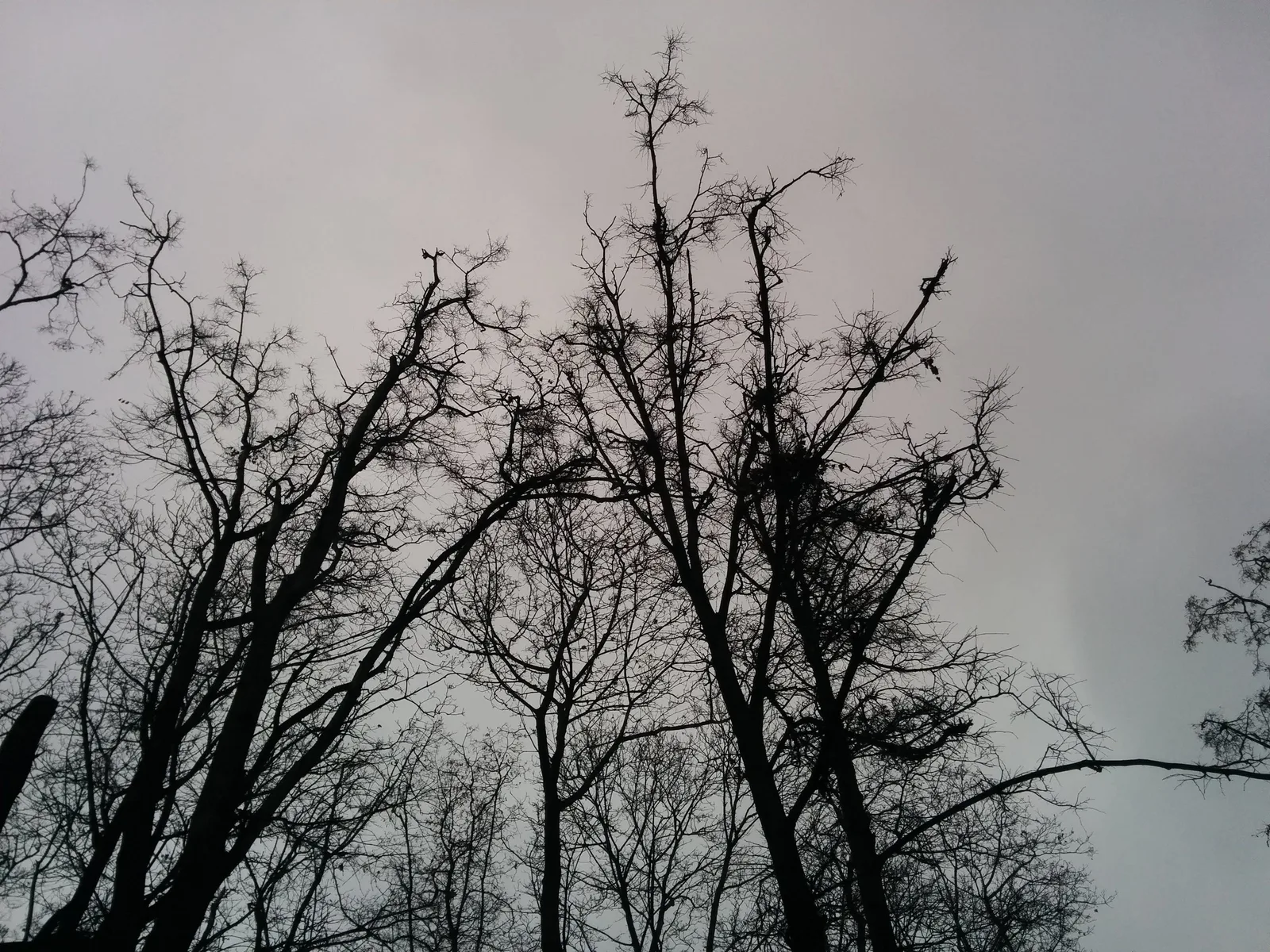 Photo from 15 November 2015