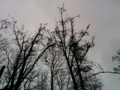 Photo from 15 November 2015