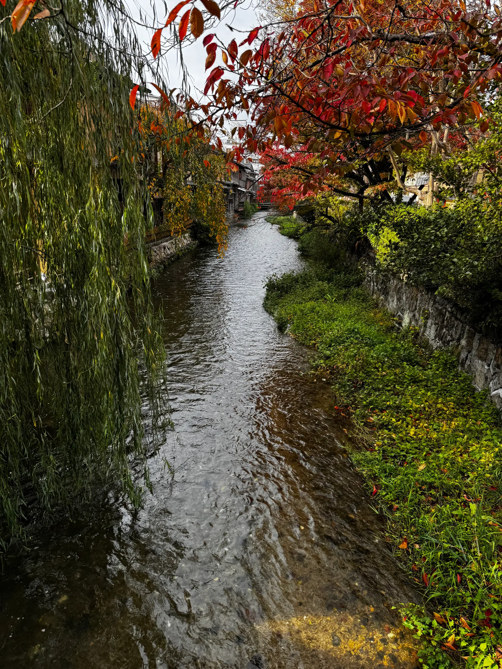 Kyoto, Japan — 27 November 2024