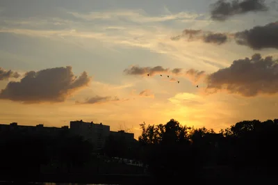 Photo from 30 July 2011