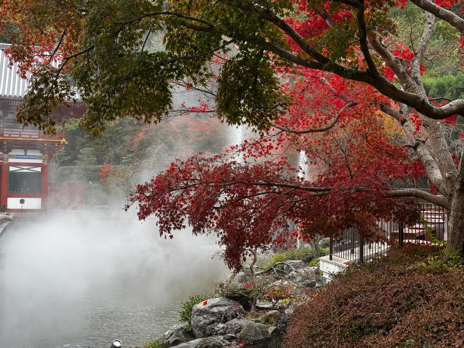Minoh, Japan — 26 November 2024