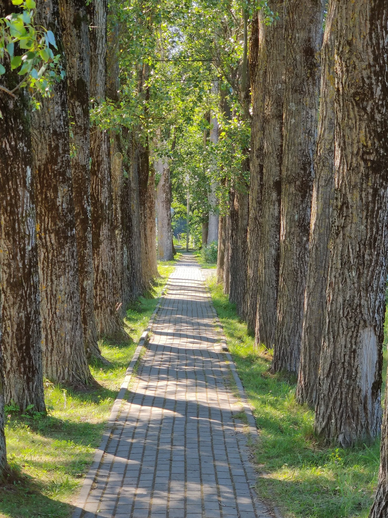 Nida, Lithuania — 18 July 2020