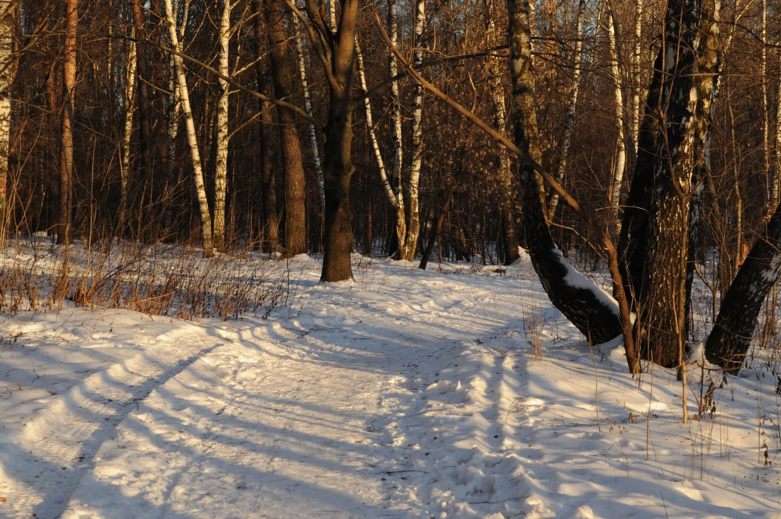 Photo from 15 December 2013