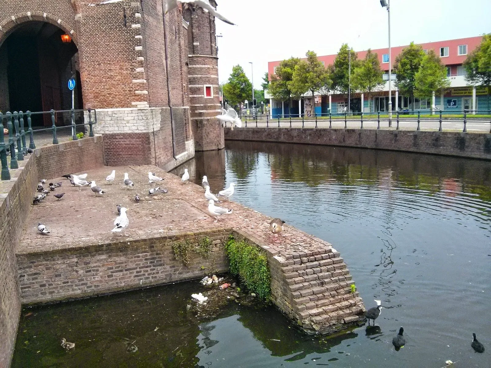 Photo from 9 June 2014