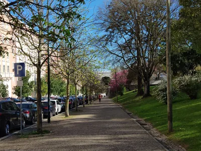 Photo from 20 March 2019