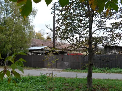 Photo from 11 October 2010