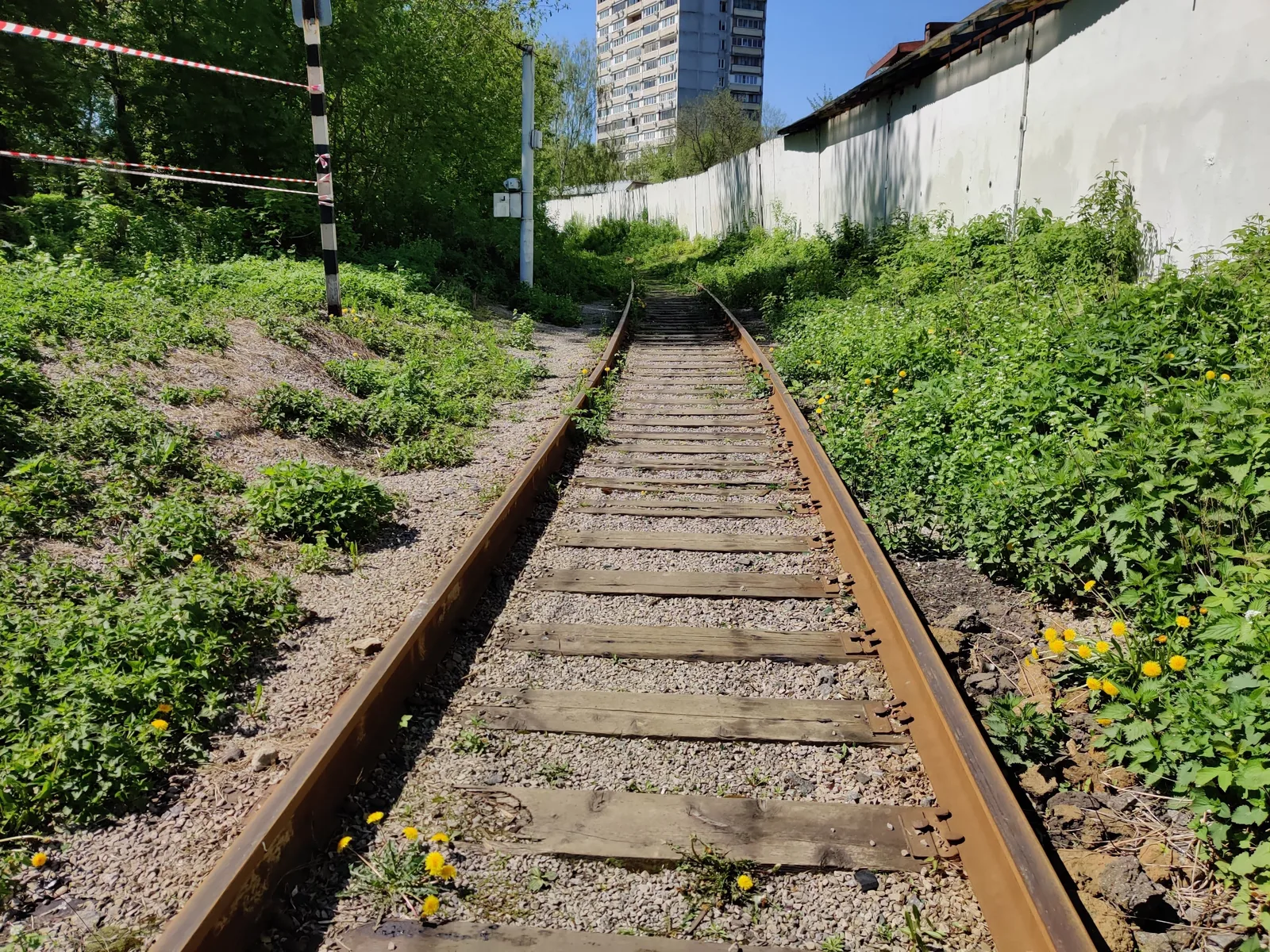 Bogorodskoye, Russia — 11 May 2020