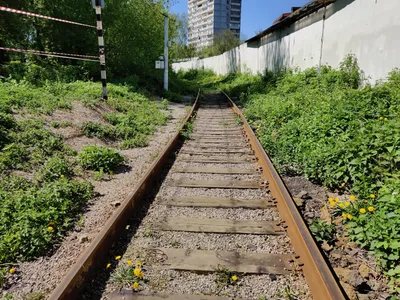 Bogorodskoye, Russia — 11 May 2020
