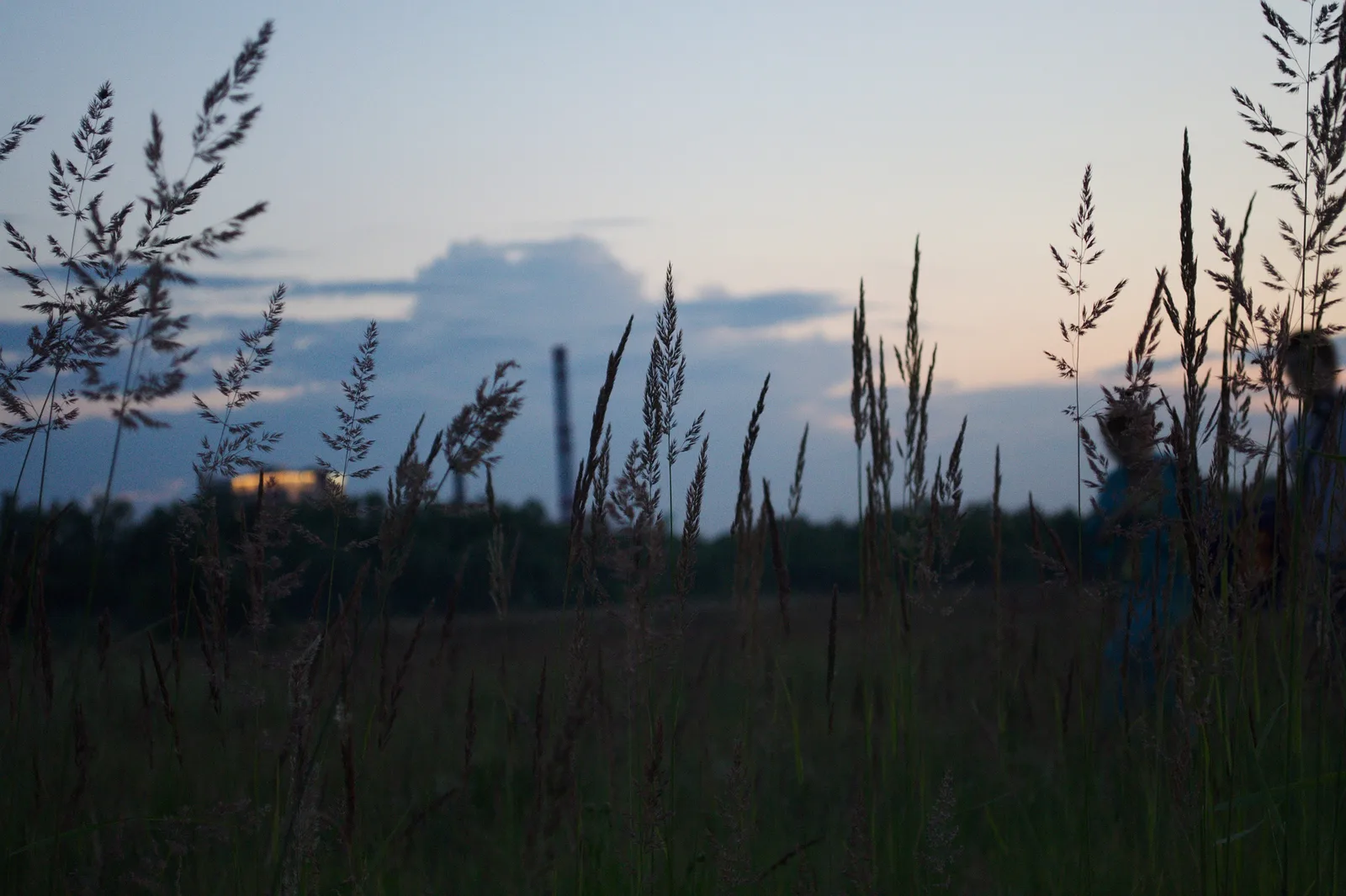Photo from 2 July 2011
