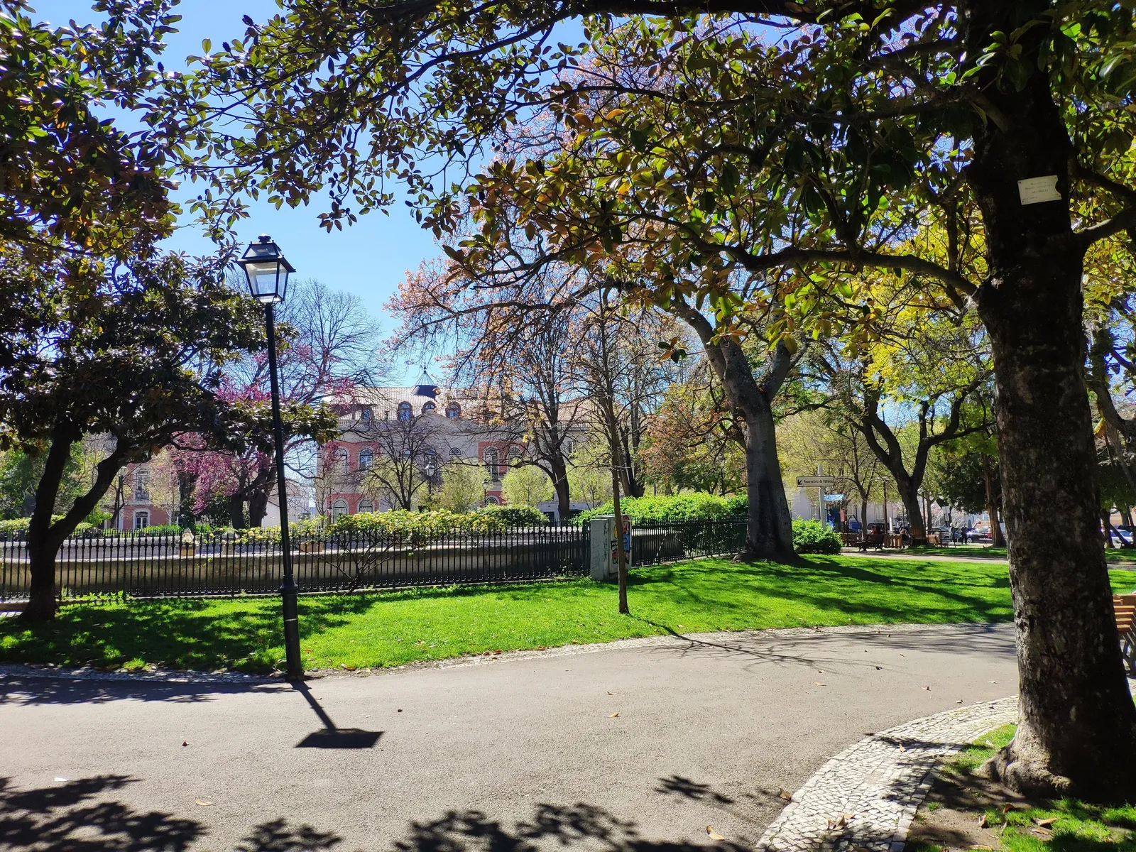 Photo from 20 March 2019