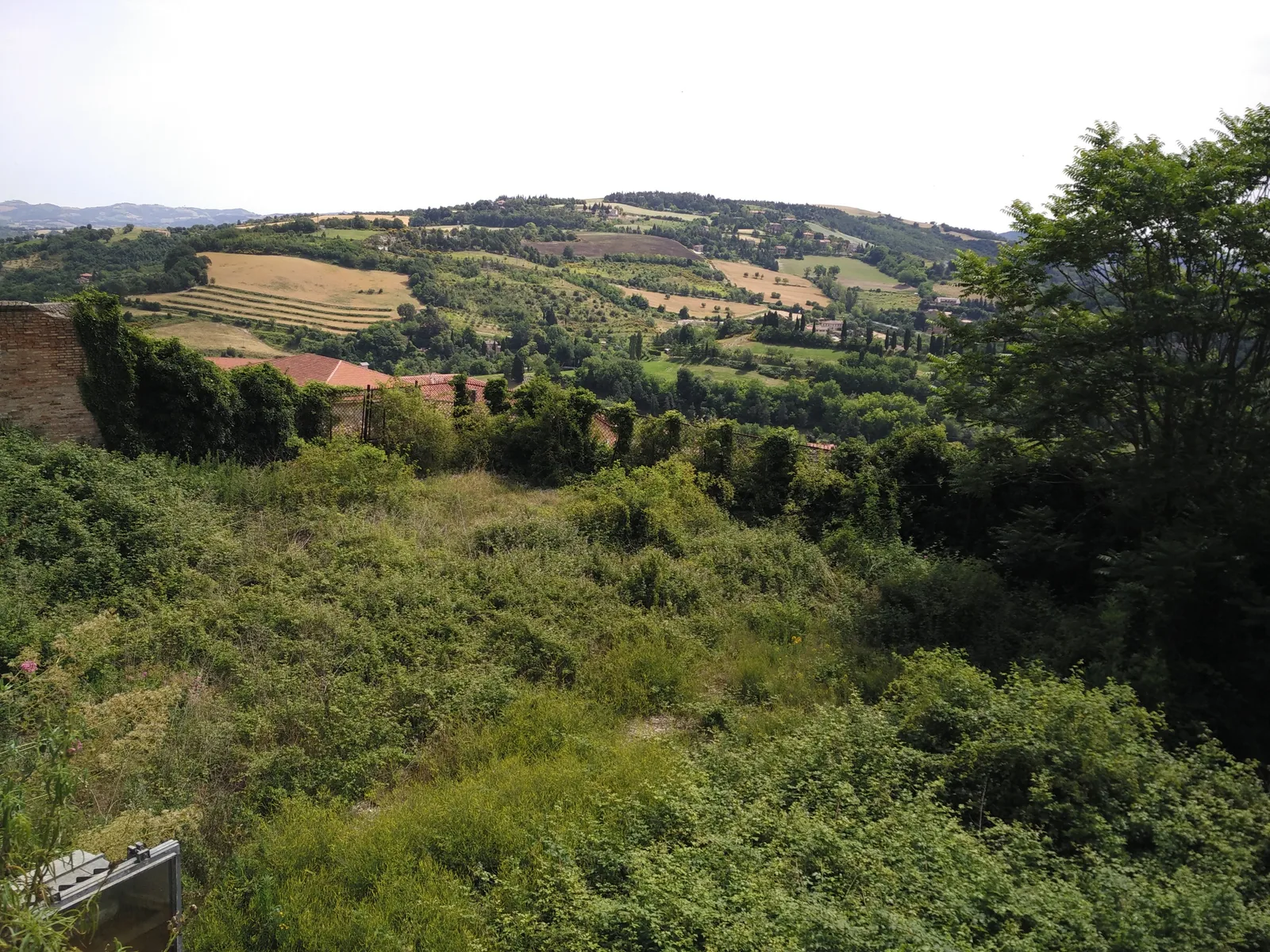 Urbino, Italy — 16 June 2016