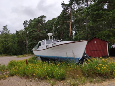 Photo from 1 August 2019