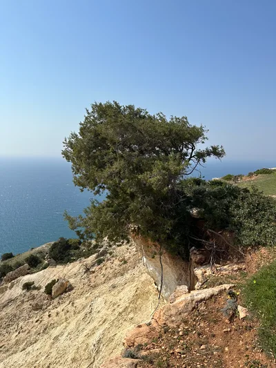 Pissoúri, Cyprus — 3 March 2023