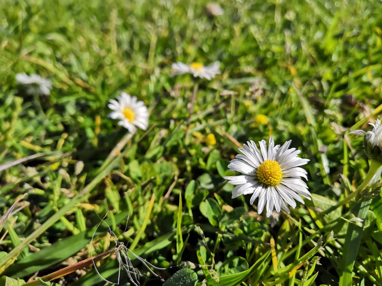 Photo from 20 March 2019