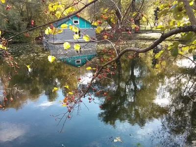 Photo from 6 October 2013