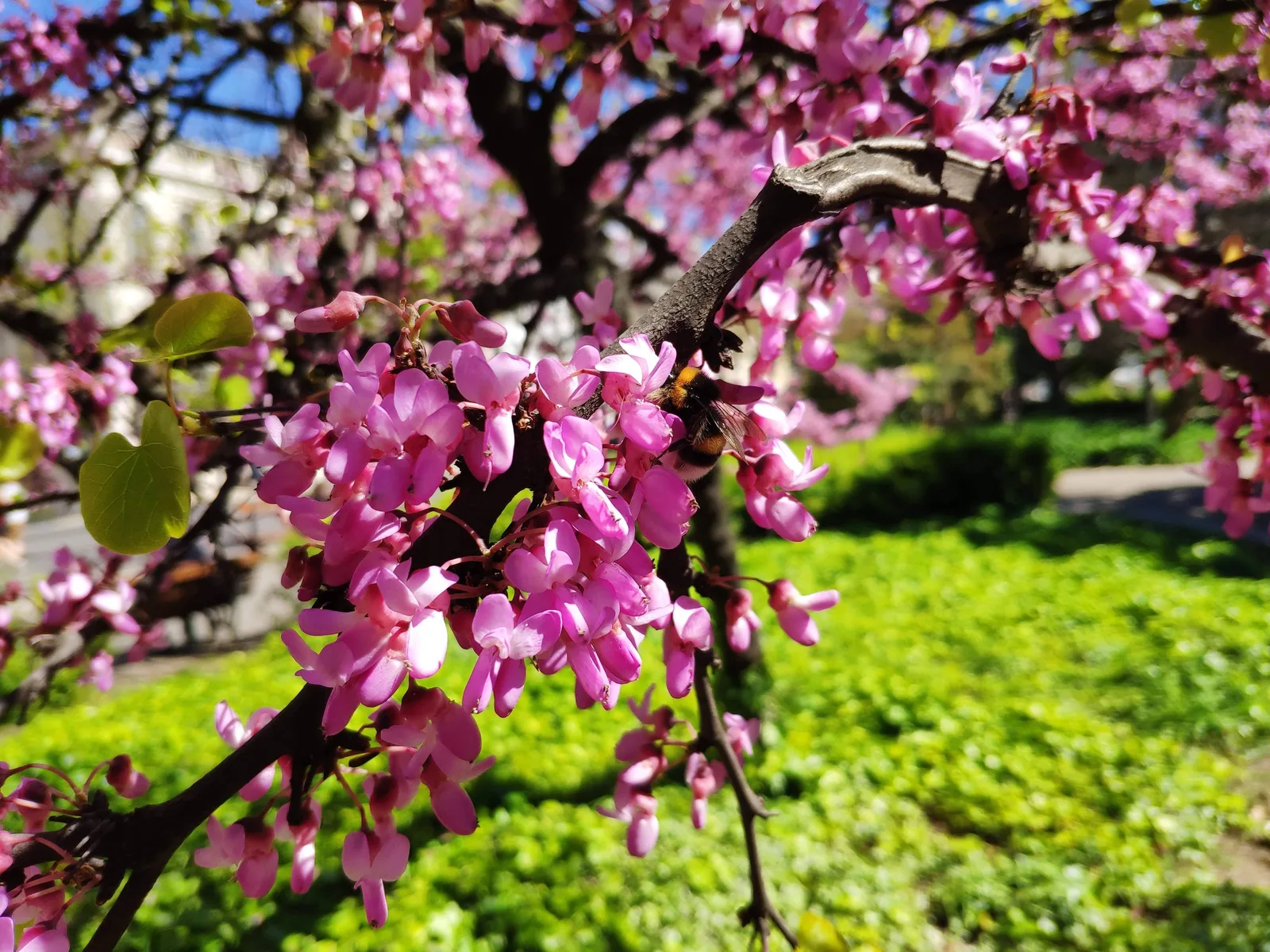 Photo from 20 March 2019
