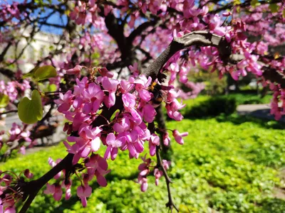 Photo from 20 March 2019