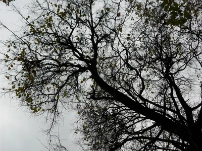 Photo from 11 October 2010
